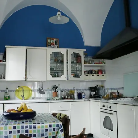 Loft Mimosa Apartment