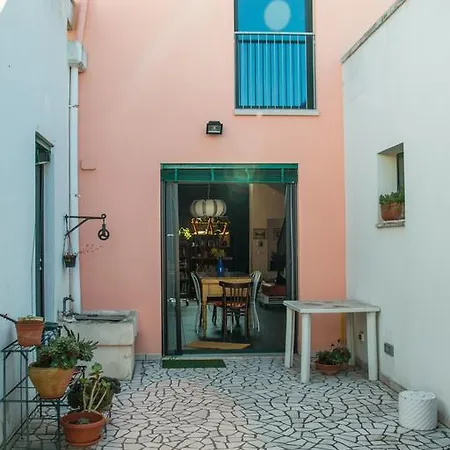 Loft Mimosa Apartment